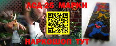 мдпв Бийск
