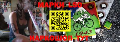 мдпв Бийск