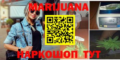 мдпв Бийск
