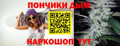 мдпв Бийск