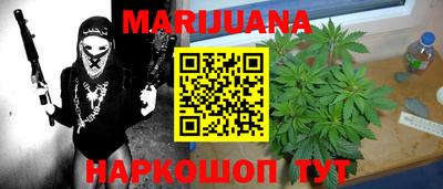 мдпв Бийск