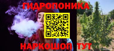 гидропоника Берёзовский