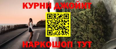 мдпв Бийск