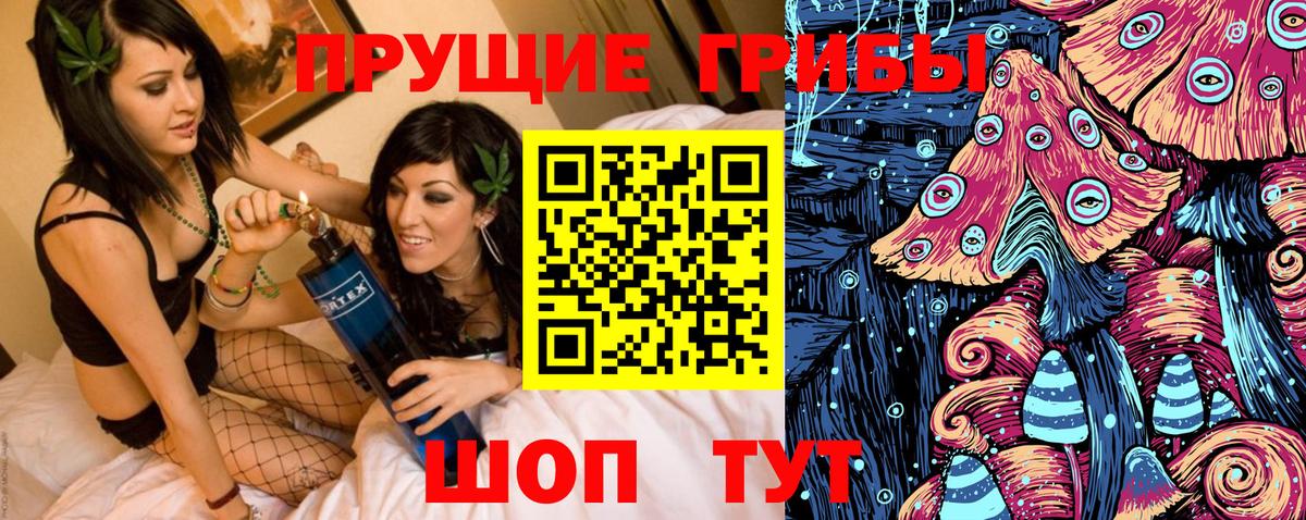 Псилоцибиновые грибы GOLDEN TEACHER Кировск