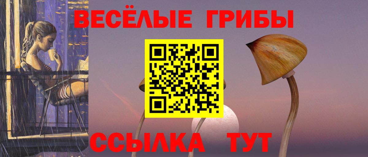 Кировск  Галлюциногенные грибы мицелий  Вход с VPN  Псилоцибиновые грибы прущие грибы 